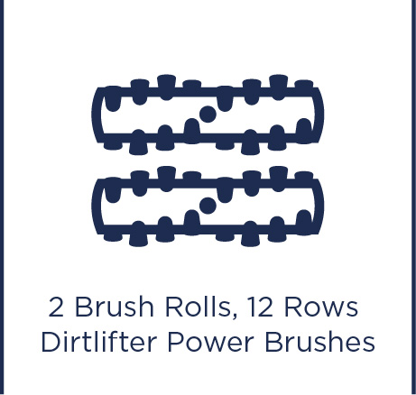 2 brush rolls, 12 row DirtLifter Power Brushes